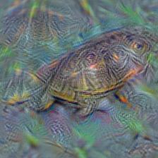 n01667114 mud turtle